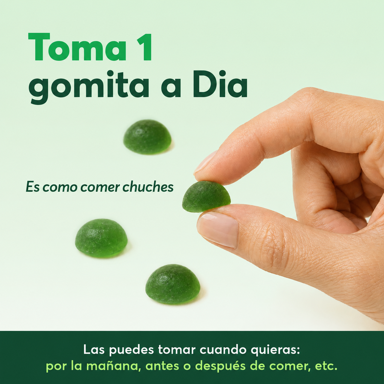 RESET ® Líbrate De La Hinchazón, Los Antojos Y Repará Tu Intestino